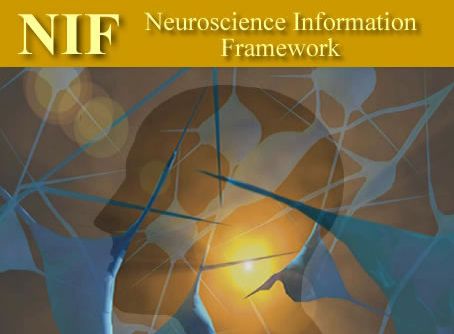 Neuroscience Information Framework