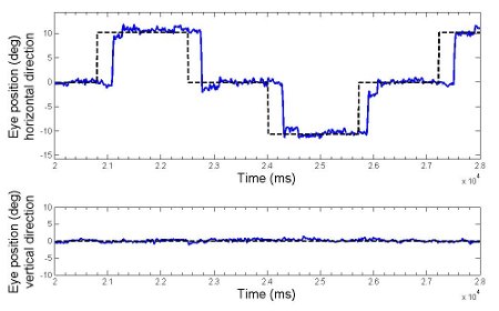 Fig 2 Saccadi orizzontali con ampiezza di 10° Fig 2 Saccadi orizzontali con ampiezza di 10°