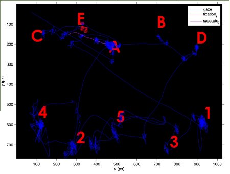 Fig 3 Esplorazione di immagine cognitivamente rilevante (Veneri & Rufa 2011) Fig 3 Esplorazione di immagine cognitivamente rilevante (Veneri & Rufa 2011)