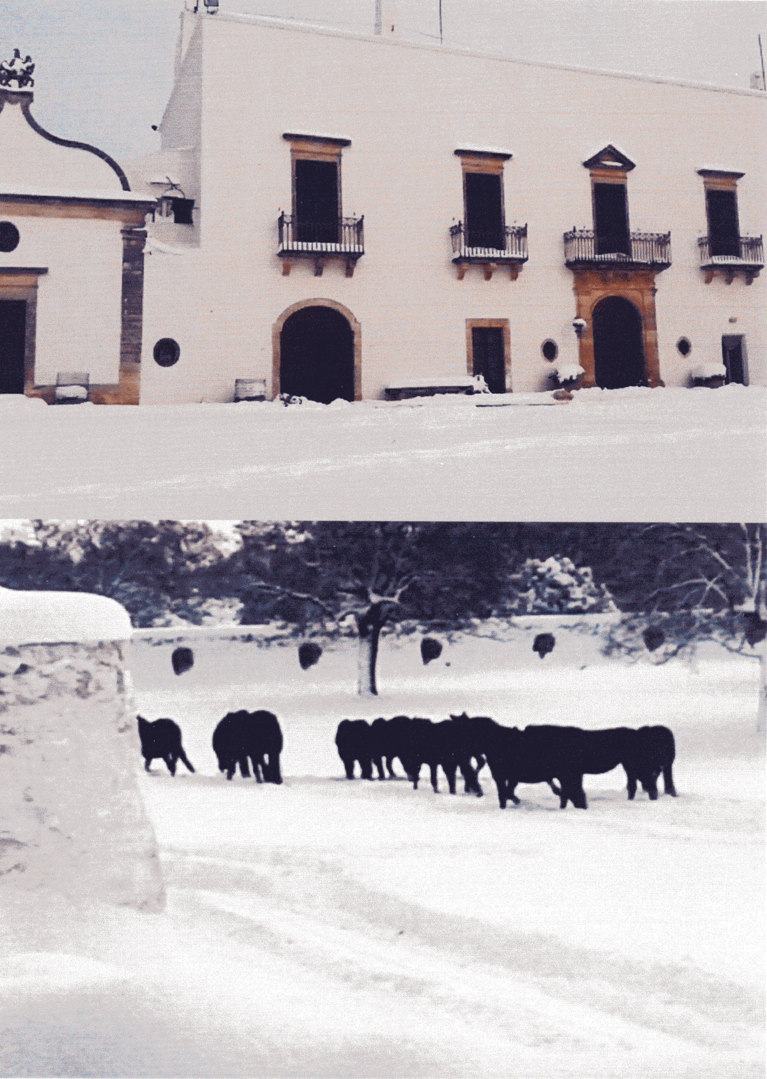 Trance Humaine (prima parte) Trance Humaine (prima parte)