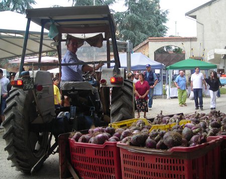 Trasporto cipolle alla Sagra della Cipolla Rossa di Breme Trasporto cipolle alla Sagra della Cipolla Rossa di Breme