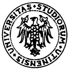 L’attività della corteccia motoria durante la visione di opere d’arte e il neuronal Comparative Mnestic System (CMS) L’attività della corteccia motoria durante la visione di opere d’arte e il neuronal Comparative Mnestic System (CMS)